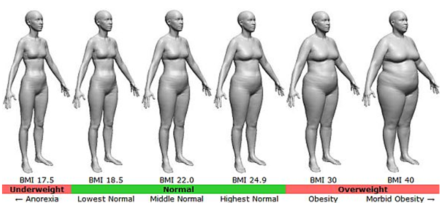 Frau bmi 22 BMI for