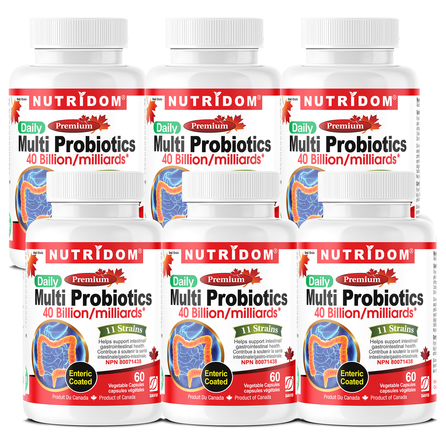 Nutridom Multi Probiotics, 40 Billion, 11 Strains, Enteric Coated, 60 Veggie Capsules - 6 PACK