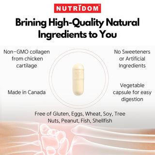 Nutridom Collagen 3000, Type II, 500 mg, 180 Veggie Capsules