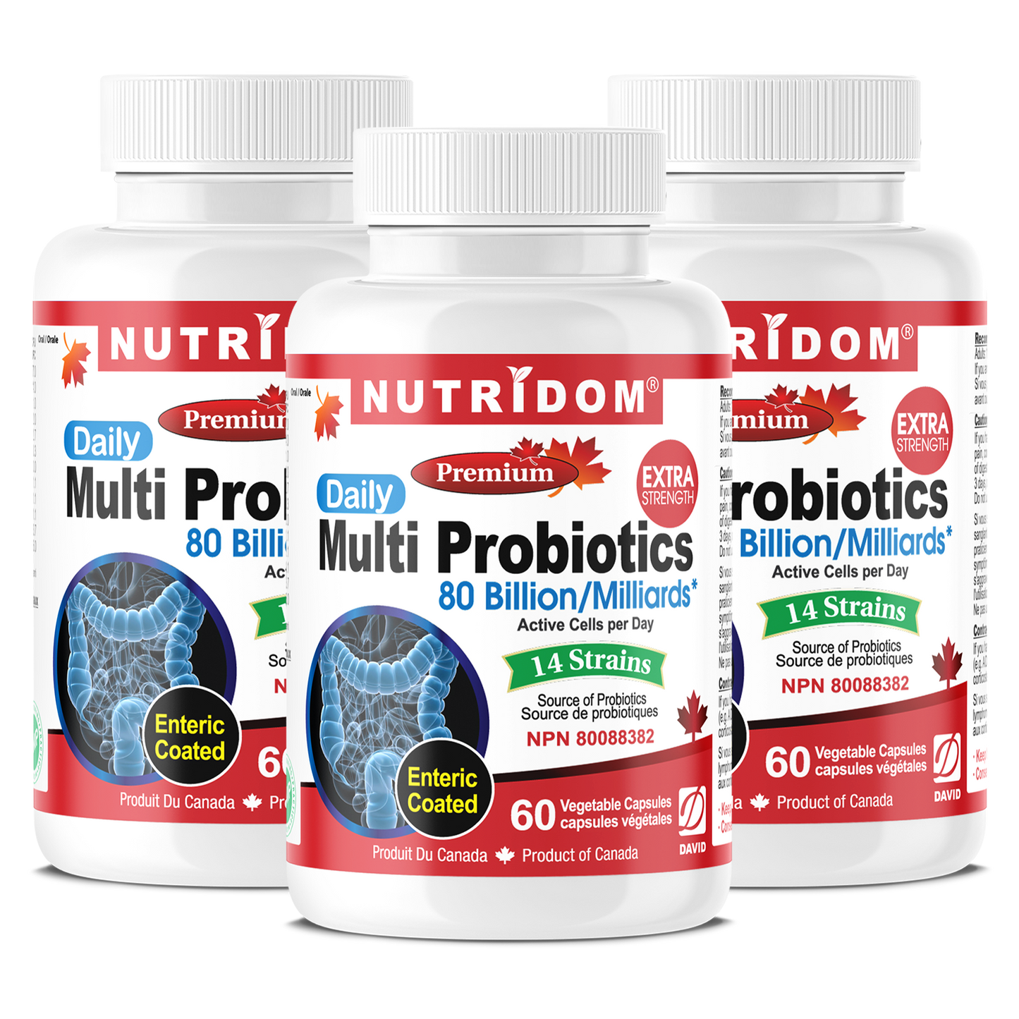 Nutridom Multi Probiotics, 80 Billion, 14 Strains, 60 Veggie Capsules - 3 PACK