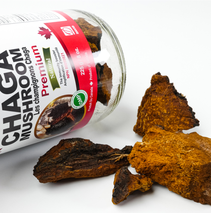 Nutridom Canadian Chaga Mushroom, Chunks, 8 oz (225g)