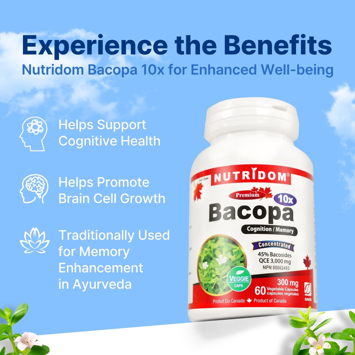 Nutridom Bacopa 10x, Bacopa Concentrate, 300mg (3,000mg QCE), 60Veggie Capsules