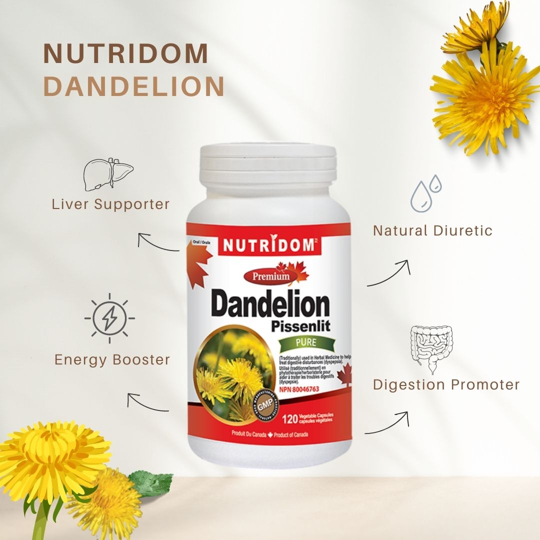 Nutridom Dandelion Root Extract, 500 mg, 120 Veggie Capsules