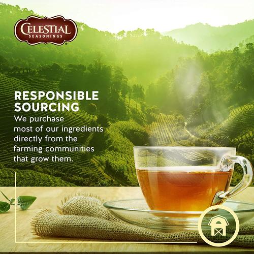 Celestial Seasoning Herbal Tea - Black Cherry Berry 44g (20 Tea Bags)