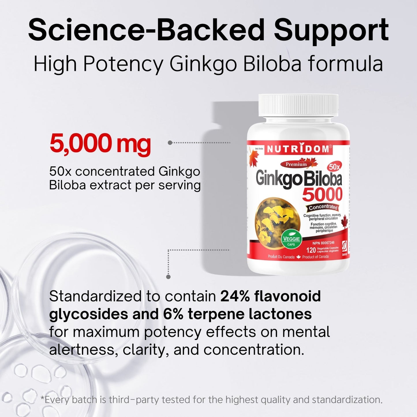 Nutridom Ginkgo Biloba 5000, 100 mg, 24% Flavones Glycoside & 6% Terpene Lactones, 120 Veggie Capsules