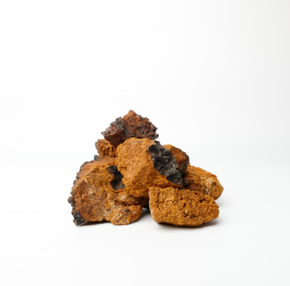 Nutridom Canadian Chaga Mushroom, Chunks, 8 oz (225g)