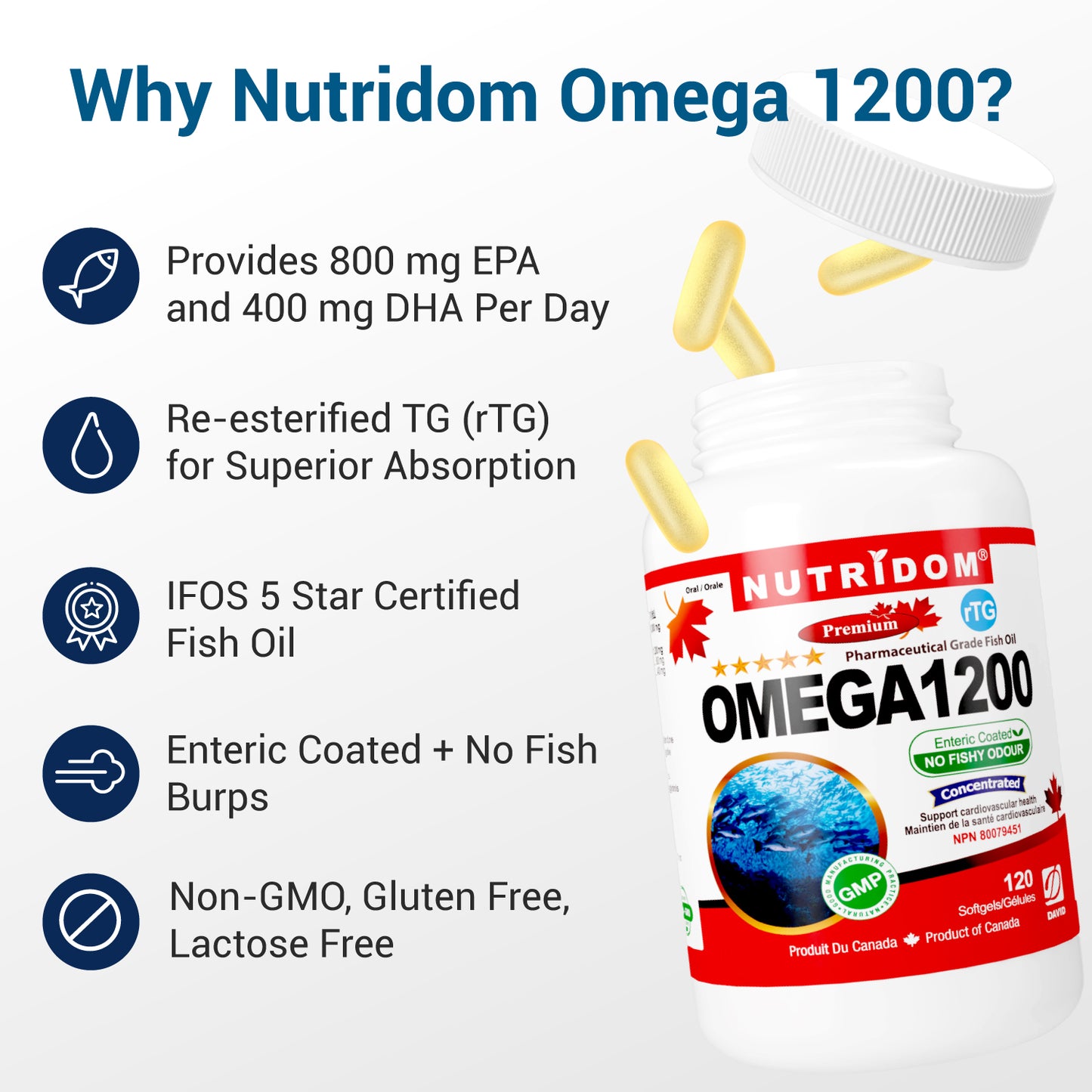 Nutridom Omega 1200 (rTG Omega 3) Fish Oil, EPA, DHA, 120 Softgels - 6 PACK