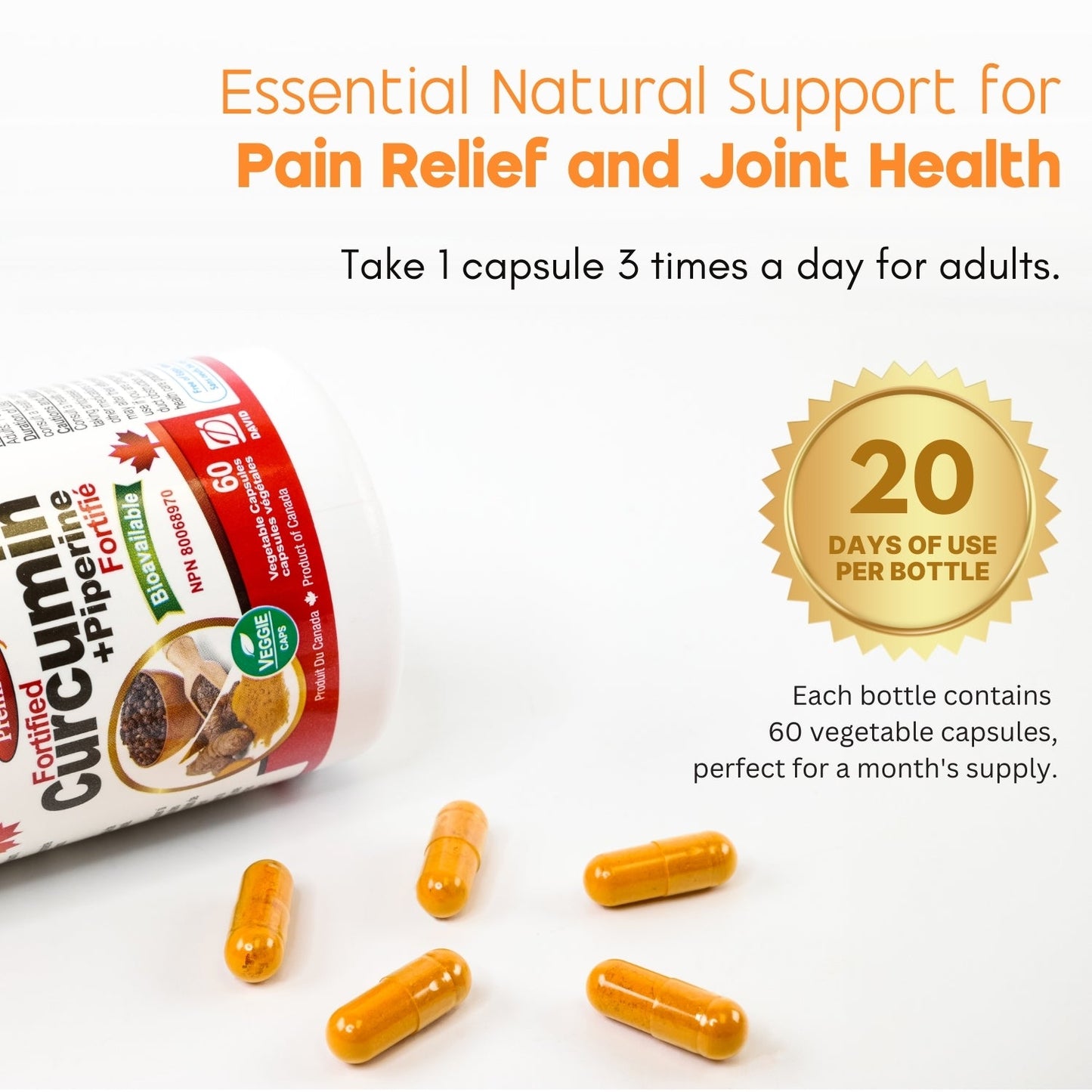 Nutridom Fortified Curcumin with Piperine, 60 Veggie Capsules