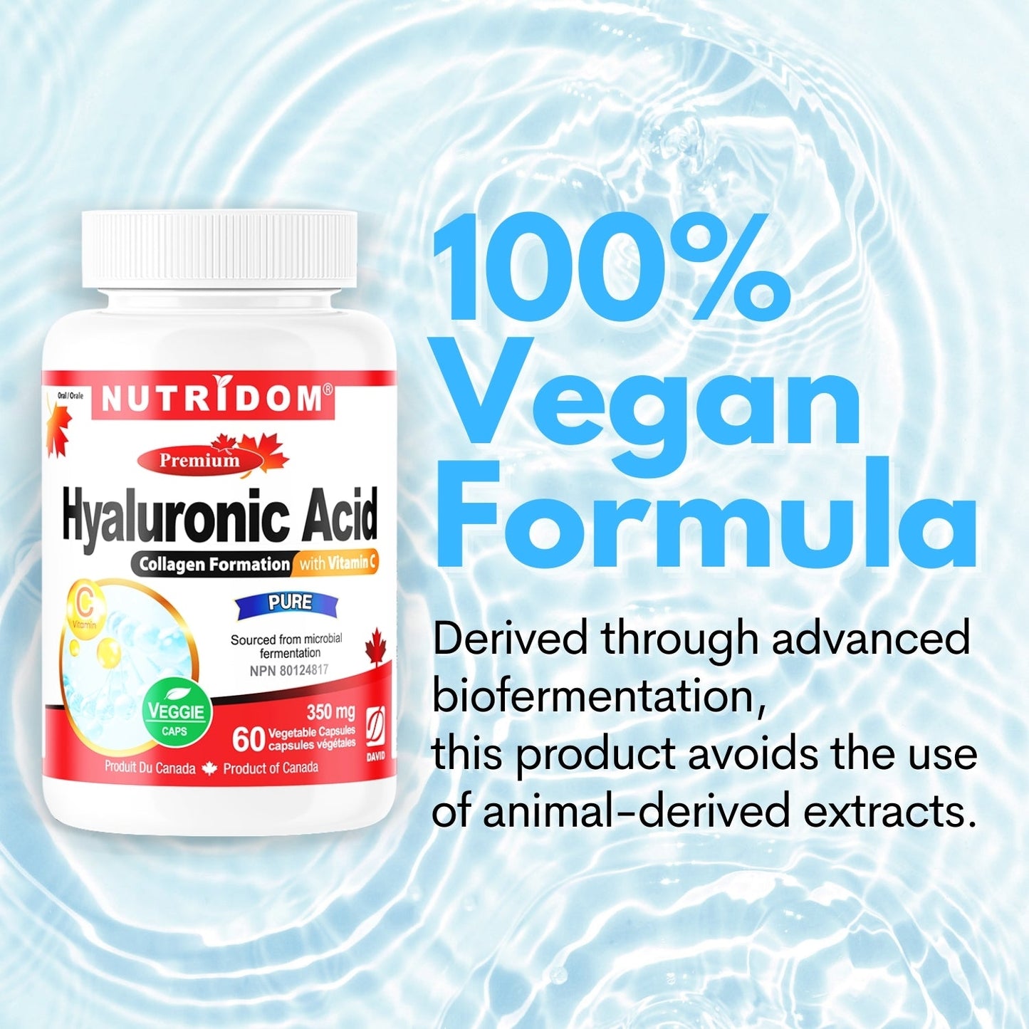 Nutridom Hyaluronic Acid with Vitamin C 60 Vcaps