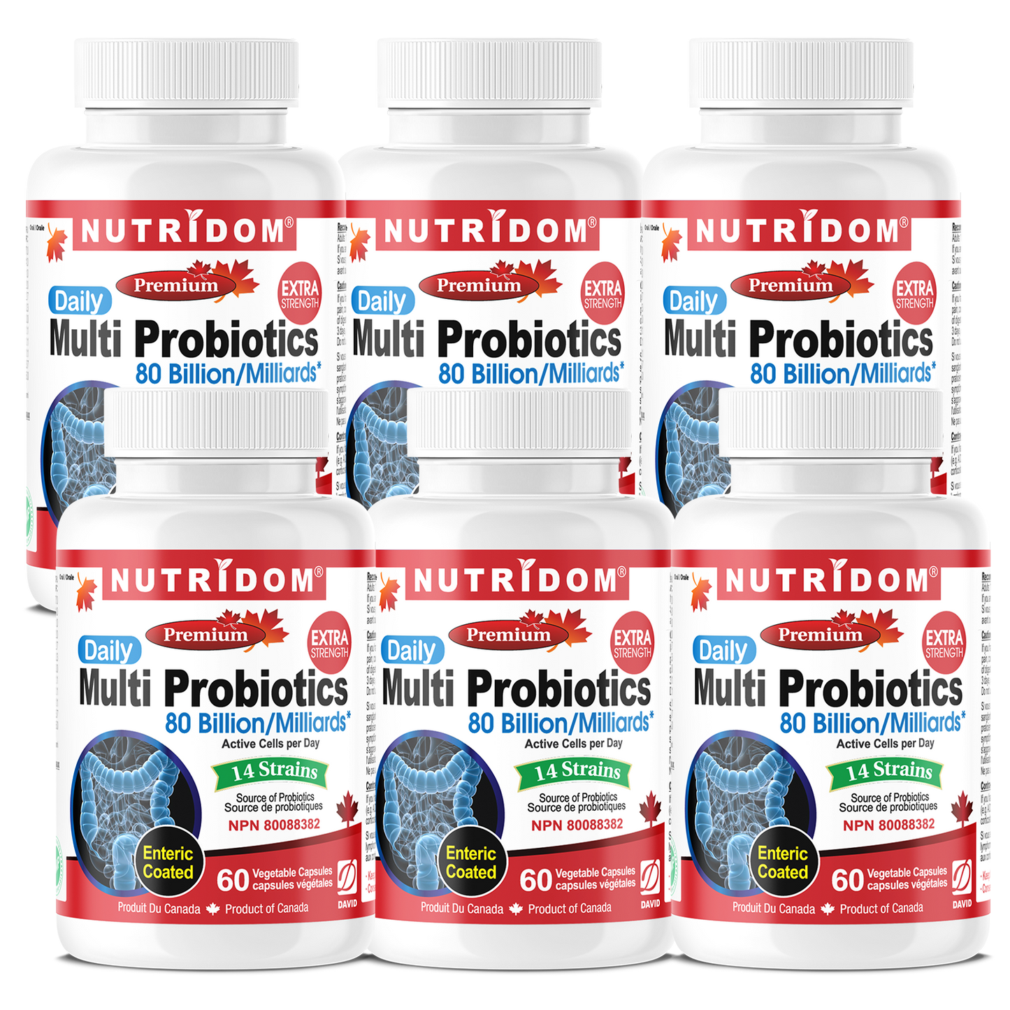 Nutridom Multi Probiotics, 80 Billion, 14 Strains, 60 Veggie Capsules - 6 PACK