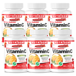 Nutridom Vitamin C 1000 mg, Timed Release, with Rose Hip & Citrus Bioflavonoids, 120 Tablets - 6 PACK