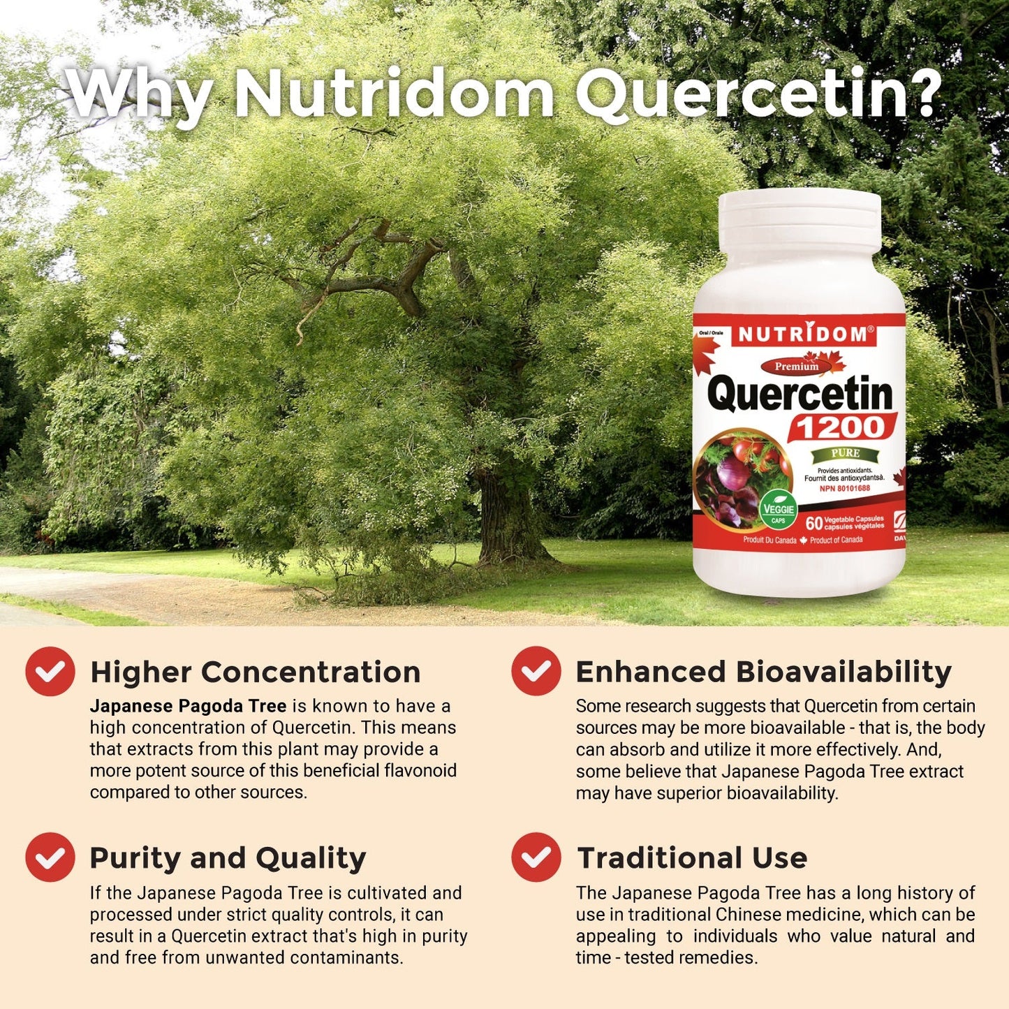 Nutridom Quercetin 600mg, 60 Veggie Capsules