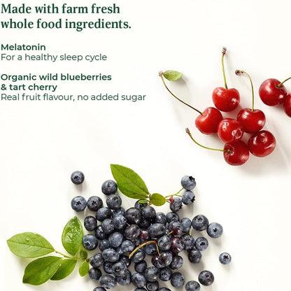 MegaFood Melatonin Berry Good Sleep Gummy 54ct