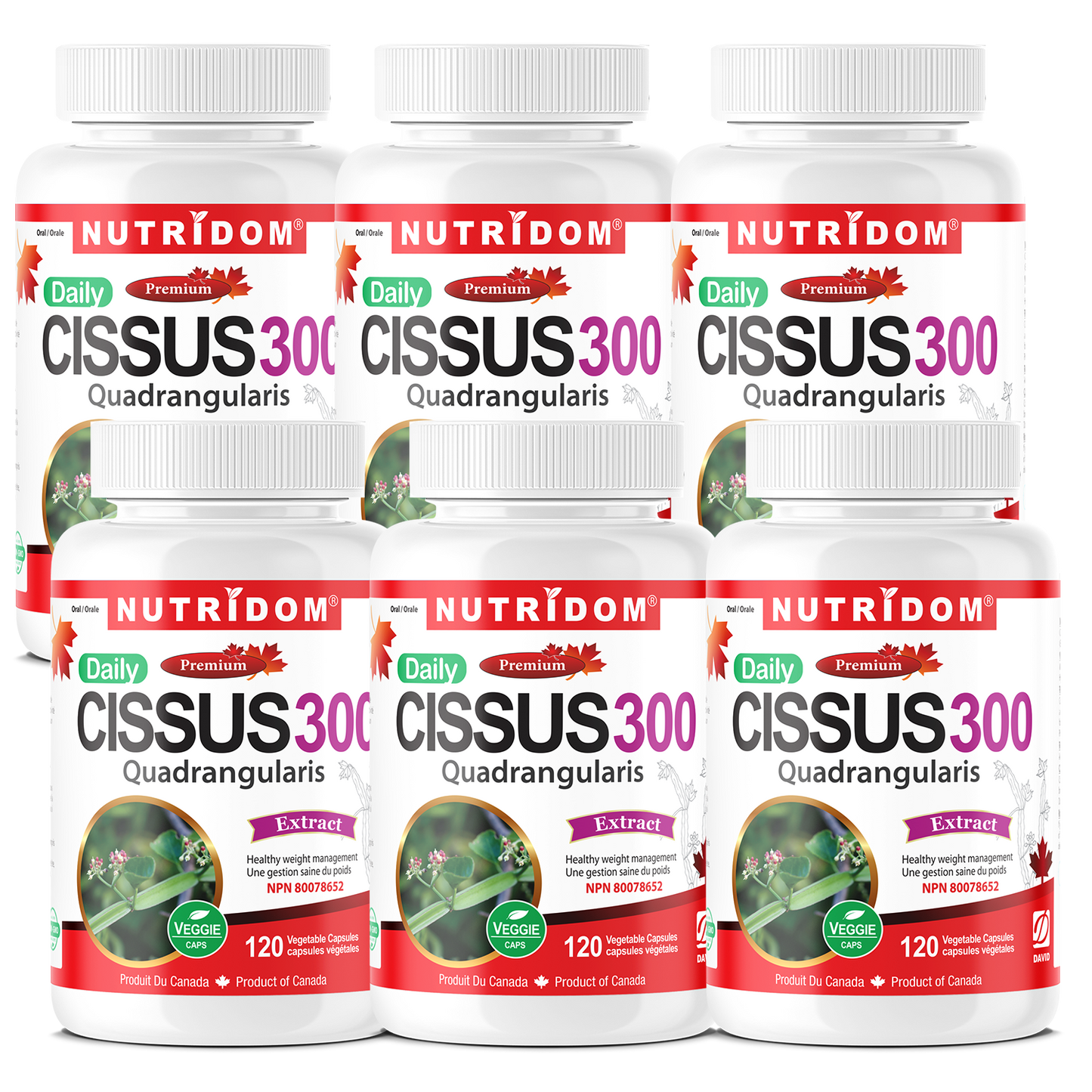 Nutridom Cissus Quadrangularis, 150 mg, 2.5% Ketosteroids, 120 Veggie Capsules - 6 PACK