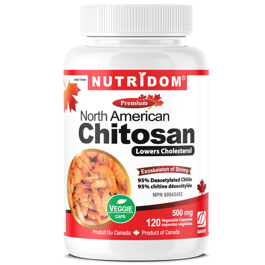 Nutridom Chitosan, 95% Acetylated Chitin, 500 mg, 120 Veggie Capsules