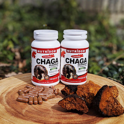 Nutridom Canadian Chaga Mushroom, 360 mg, 120 Veggie Capsules