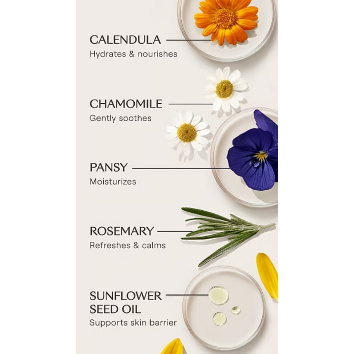 Weleda Skin Food Body Butter 150ml