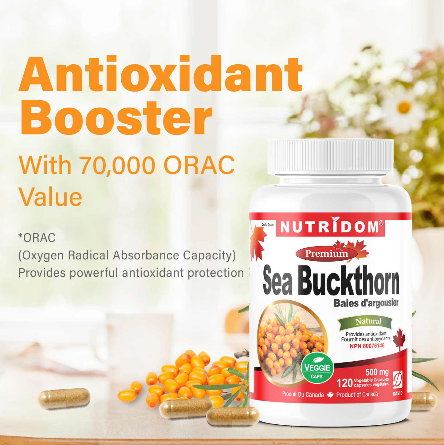 Nutridom Sea Buckthorn, 120 Veggie Capsules