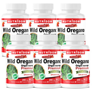 Nutridom Wild Oregano Oil, 200 mg, 30 Softgels - 6 PACK