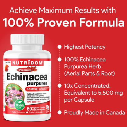 Nutridom Echinacea Purpurea, 5,500 mg, 60 Veggie Capsules