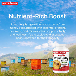 Nutridom Royal Jelly 1000mg, 300 Softgels