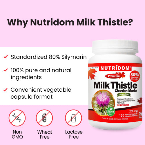 Nutridom Milk Thistle, 80% Silymarin, 250 mg, 120 Veggie Capsules