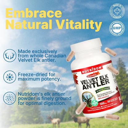 Nutridom Canadian Velvet Elk Antler, 500 mg, 30 Veggie Capsules