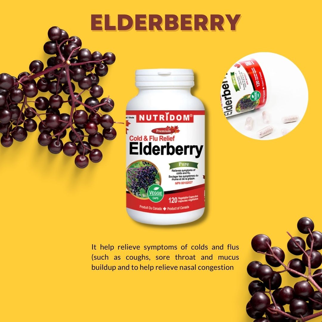 Nutridom Elderberry, 650 mg, Cold & Flu Relief, 120 Veggie Capsules