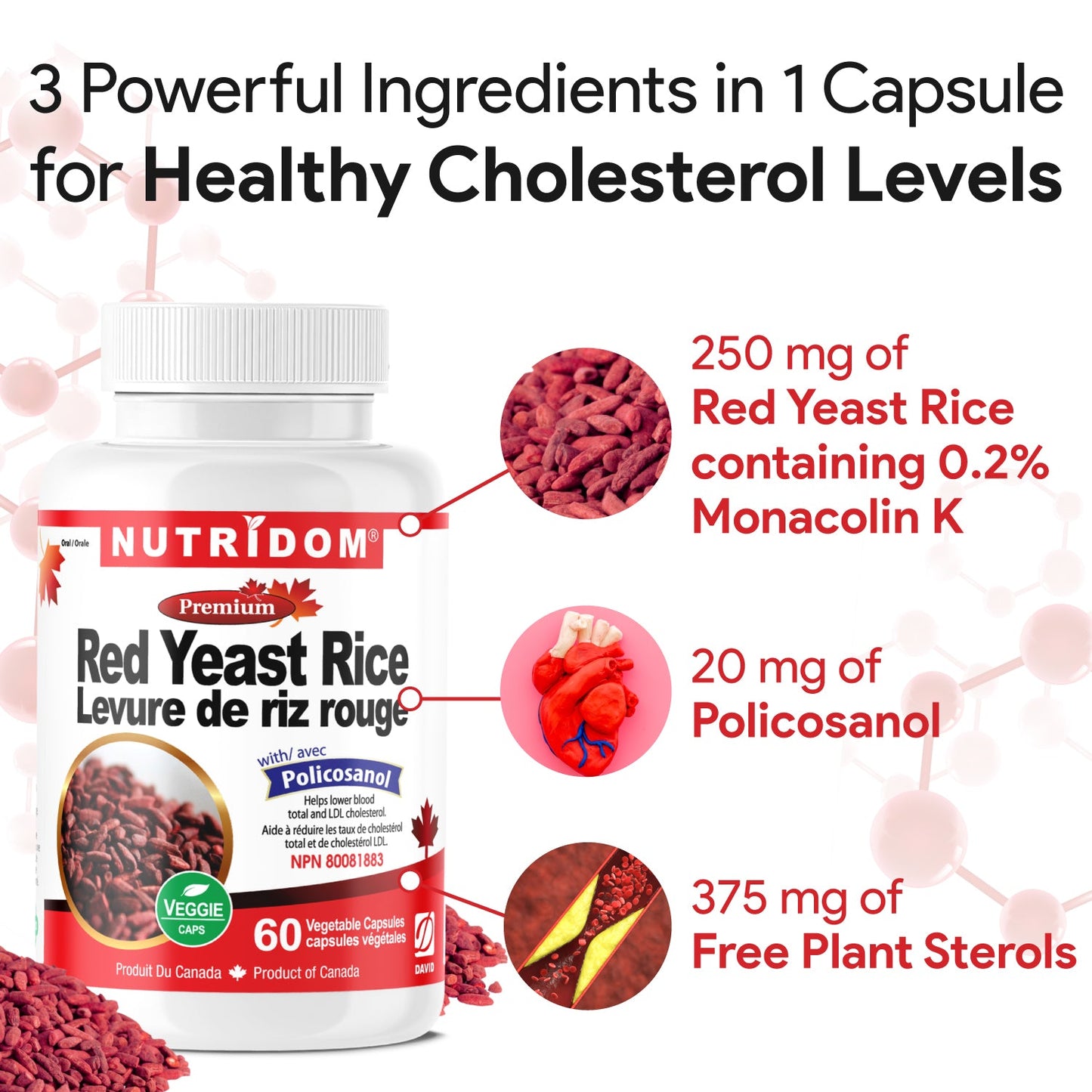 Nutridom Red Yeast Rice with Policosanol, 60 Veggie Capsules