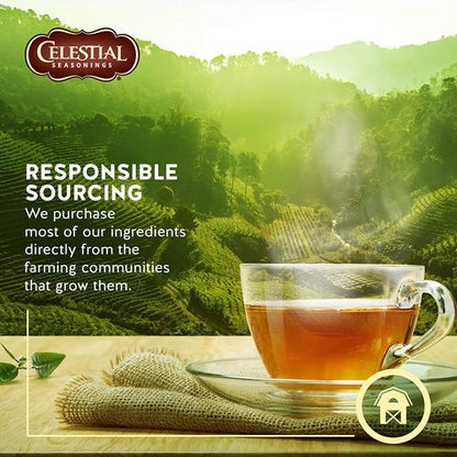 Celestial Seasoning Herbal Tea - Raspberry Zinger 43g (20 Tea Bags)