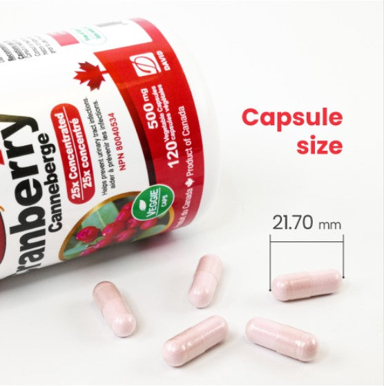 Nutridom Cranberry 25x, Canadian Whole Fruit Concentrate, 500 mg, UTI Support, 120 Veggie Capsules - 3 PACK