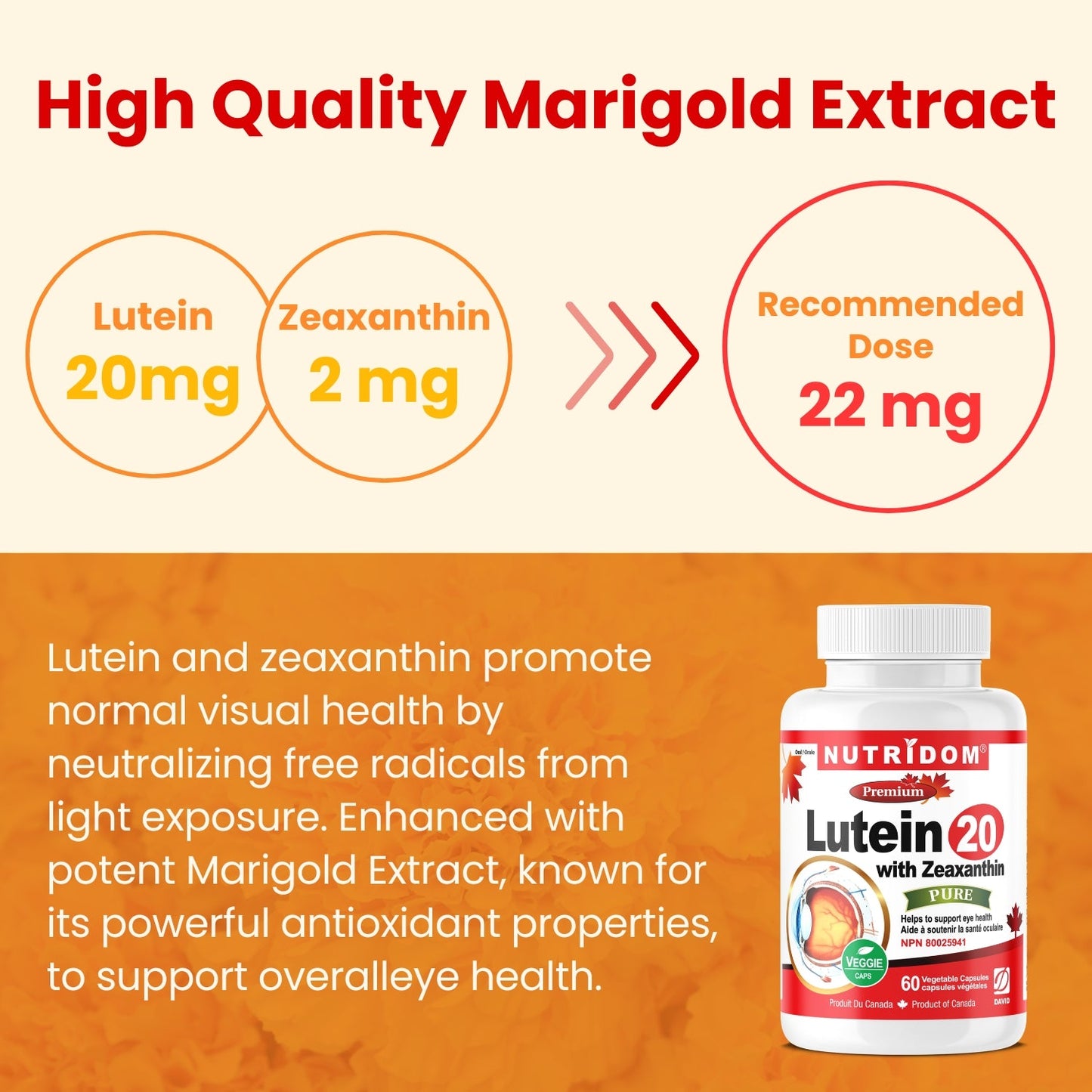 Nutridom Lutein with Zeaxanthin, 20 mg + 2 mg, 60 Veggie Capsules