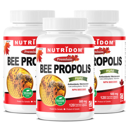 Nutridom Bee Propolis, 500 mg, 120 Veggie Capsules - 3 PACK