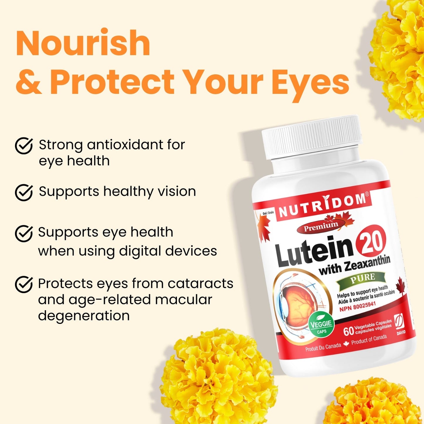 Nutridom Lutein with Zeaxanthin, 20 mg + 2 mg, 60 Veggie Capsules