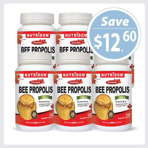 Nutridom Bee Propolis, 500 mg, 120 Veggie Capsules - 6 PACK