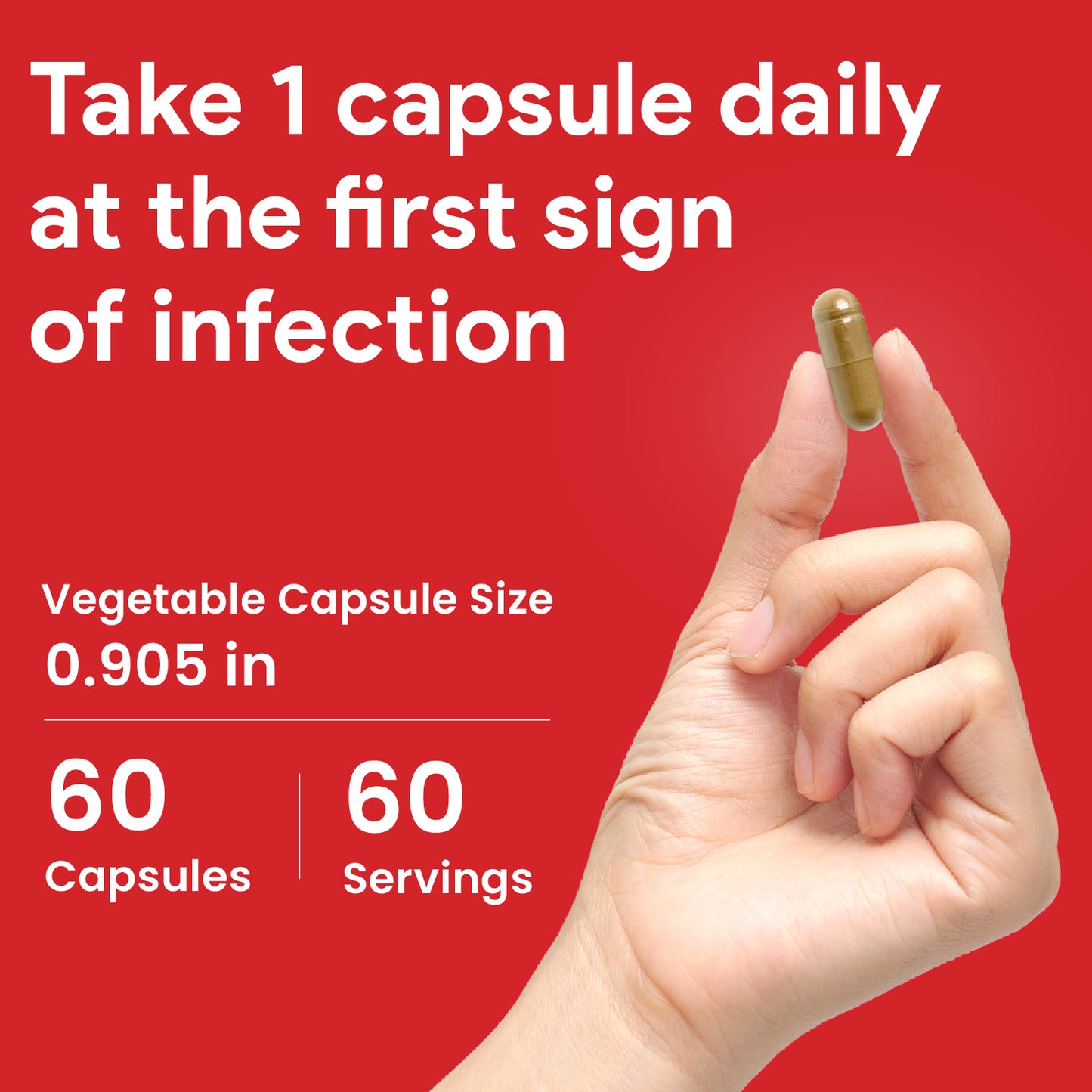 Nutridom Echinacea Purpurea, 5,500 mg, 60 Veggie Capsules