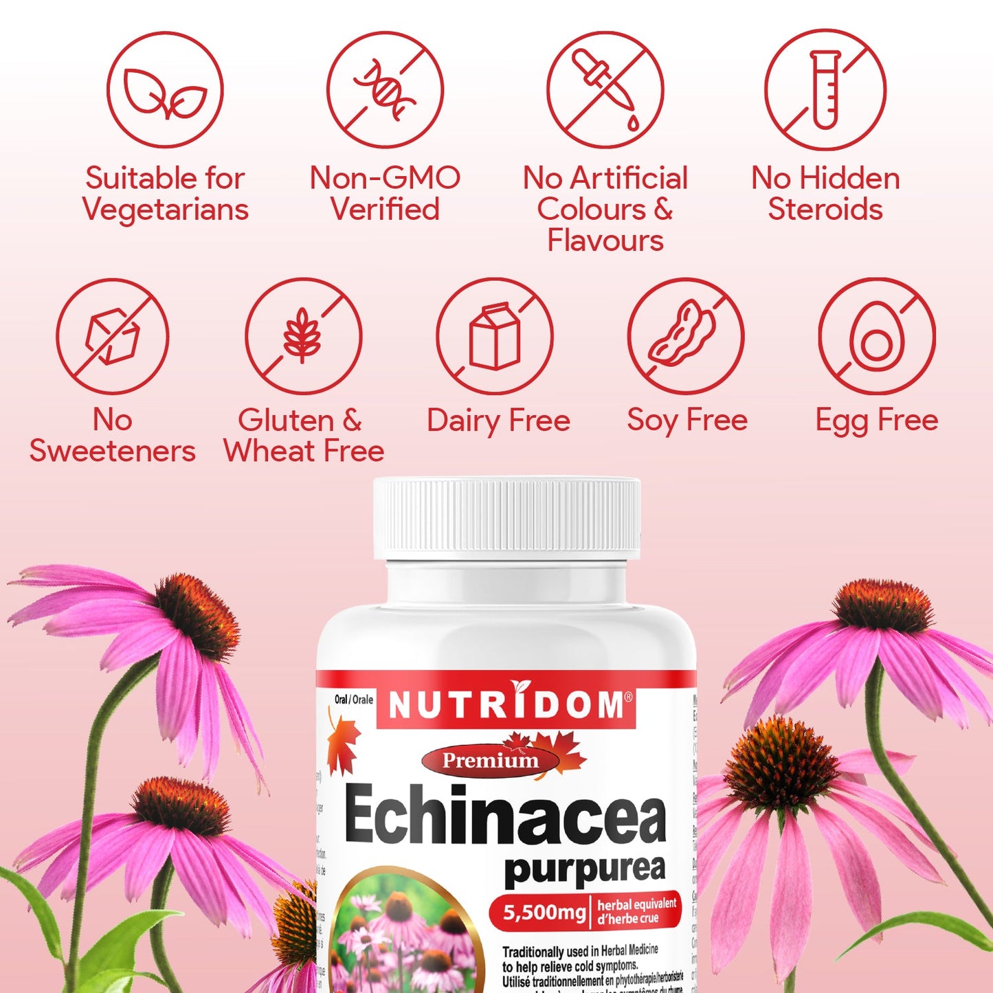 Nutridom Echinacea Purpurea, 5,500 mg,  60 Veggie Capsules