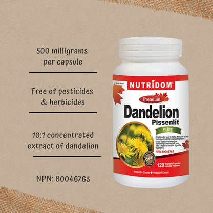 Nutridom Dandelion Root Extract, 500 mg, 120 Veggie Capsules