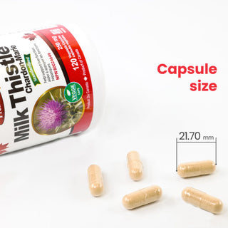 Nutridom Milk Thistle, 80% Silymarin, 250 mg, 120 Veggie Capsules